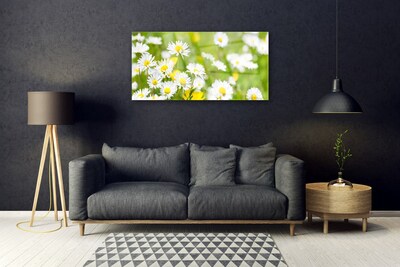 Print op plexiglas Daisy flower plant