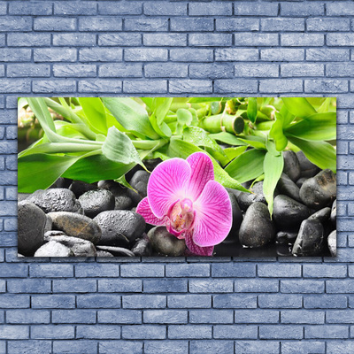 Print op plexiglas Orchideebloemen plant