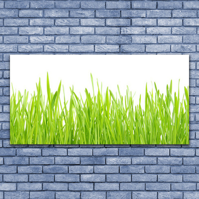 Print op plexiglas Grass nature plant