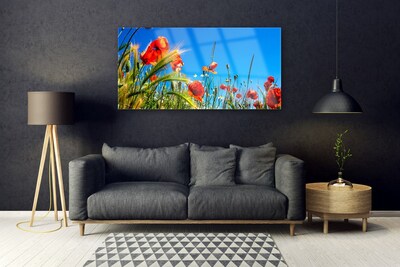 Print op plexiglas Poppies gebied van het gras