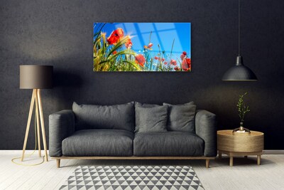 Print op plexiglas Poppies gebied van het gras