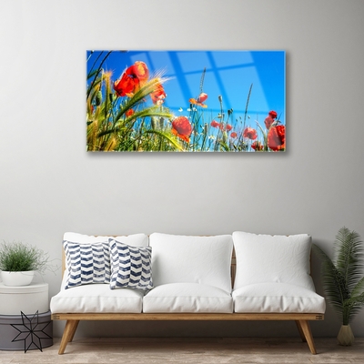 Print op plexiglas Poppies gebied van het gras