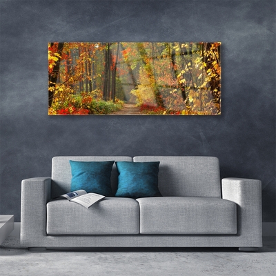 Print op plexiglas Autumn forest nature