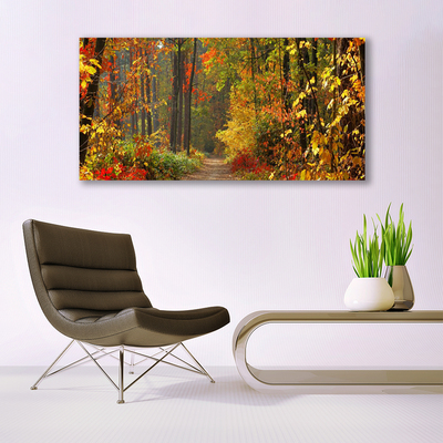 Print op plexiglas Autumn forest nature