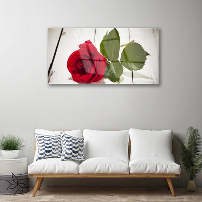 Print op plexiglas Rose flower plant natuur