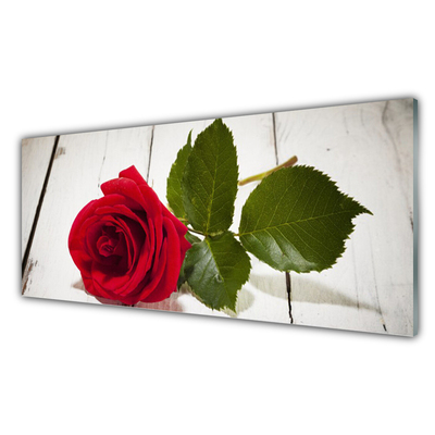 Print op plexiglas Rose flower plant natuur