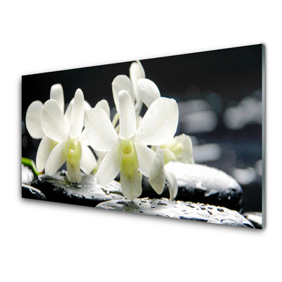 Print op plexiglas Stones orchideebloemen