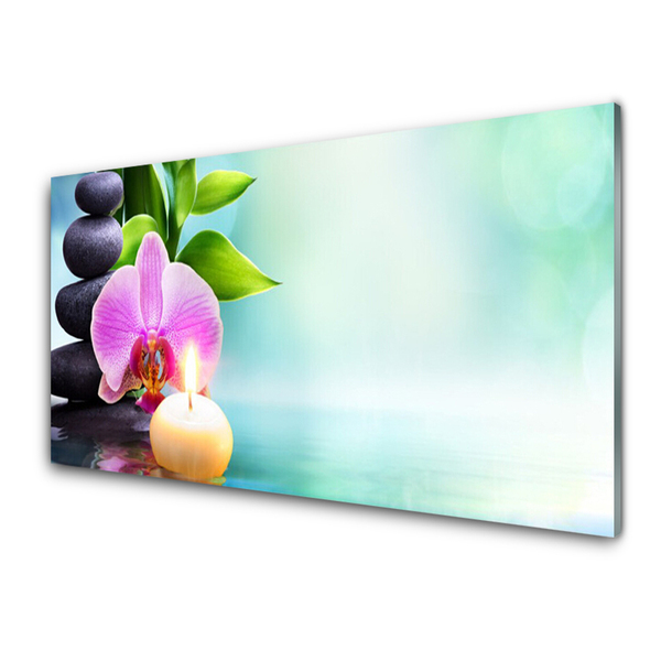 Print op plexiglas Orchid water natuur