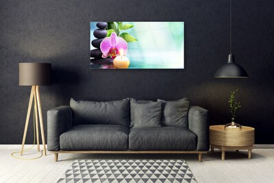 Print op plexiglas Orchid water natuur