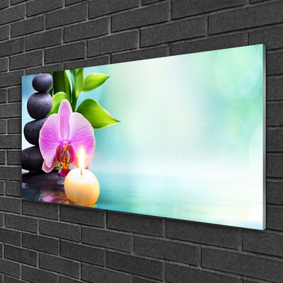 Print op plexiglas Orchid water natuur