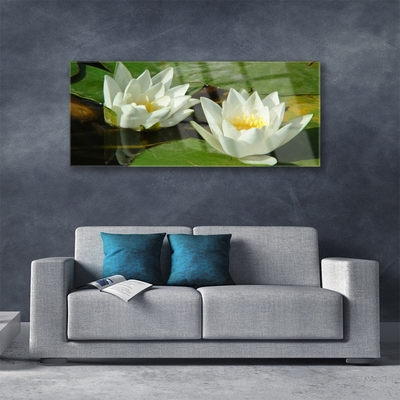 Print op plexiglas Bloemen planten nature