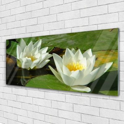 Print op plexiglas Bloemen planten nature