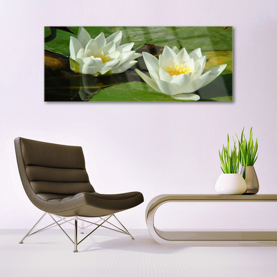 Print op plexiglas Bloemen planten nature