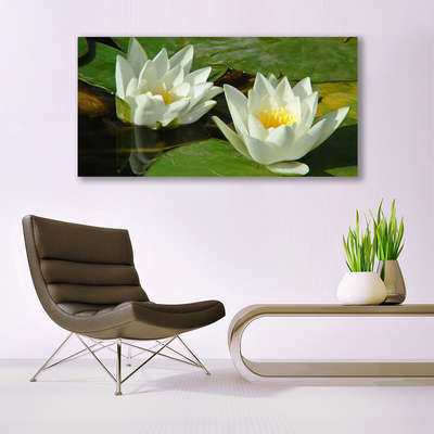 Print op plexiglas Bloemen planten nature