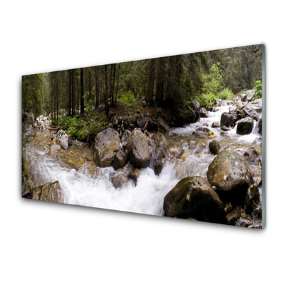 Print op plexiglas Forest river waterfalls