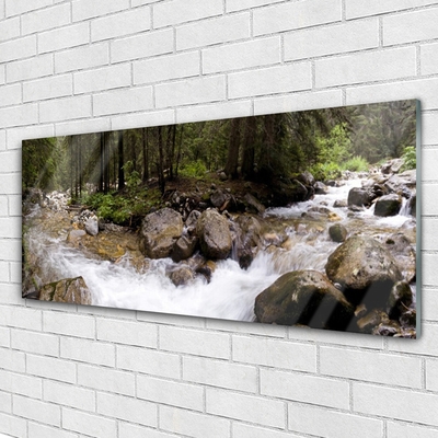 Print op plexiglas Forest river waterfalls