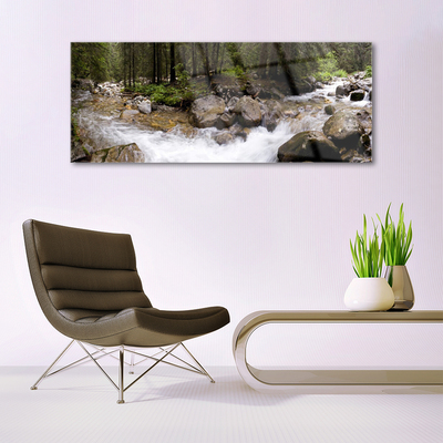 Print op plexiglas Forest river waterfalls