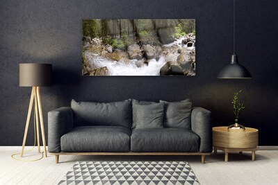 Print op plexiglas Forest river waterfalls