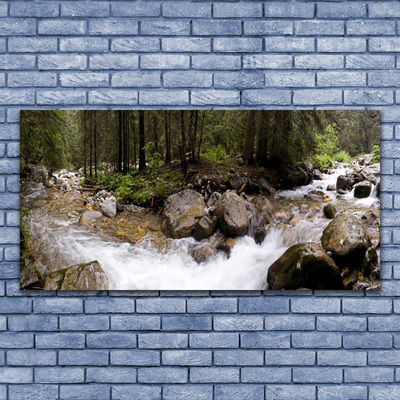 Print op plexiglas Forest river waterfalls