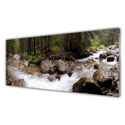 Print op plexiglas Forest river waterfalls