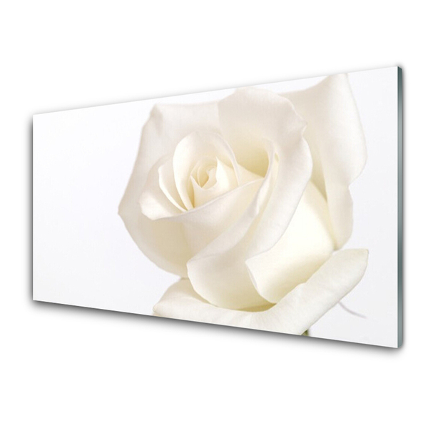 Print op plexiglas Rose bloemen