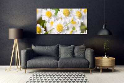 Print op plexiglas Daisy flowers nature