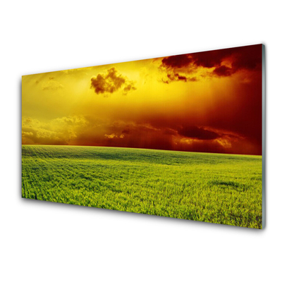 Print op plexiglas Veld landschap