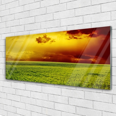 Print op plexiglas Veld landschap