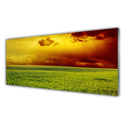 Print op plexiglas Veld landschap