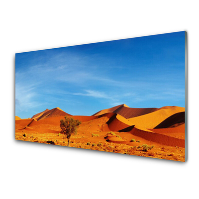 Print op plexiglas Landschap van de woestijn van het zand