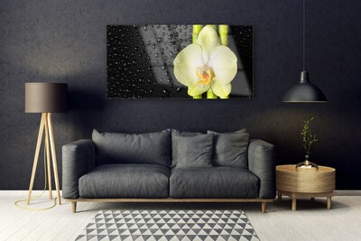 Print op plexiglas Bamboo orchid flowers