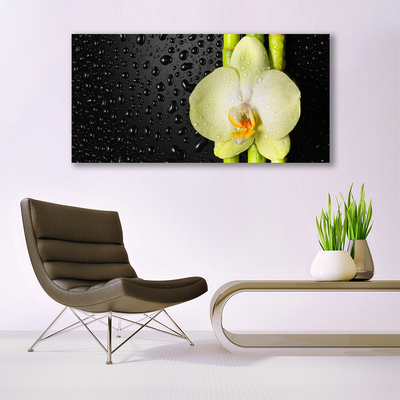 Print op plexiglas Bamboo orchid flowers