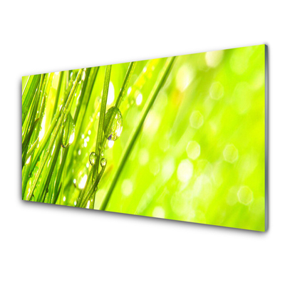 Print op plexiglas Nature daalt gras