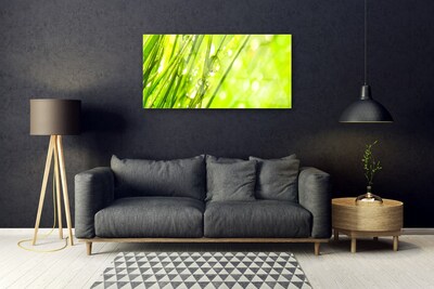 Print op plexiglas Nature daalt gras