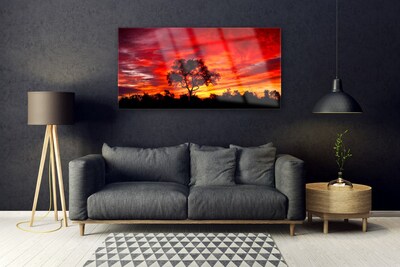 Print op plexiglas Bos landschap natuur