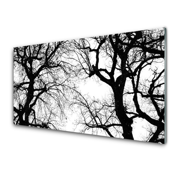 Print op plexiglas Bomen natuur black and white