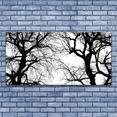 Print op plexiglas Bomen natuur black and white