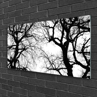 Print op plexiglas Bomen natuur black and white
