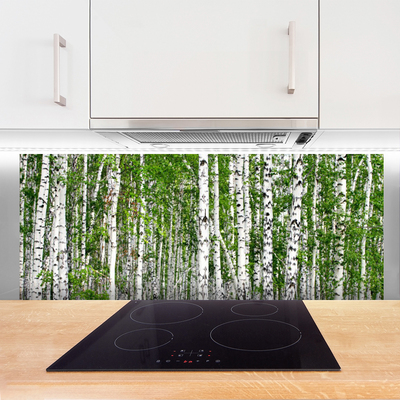 Spatscherm keuken Birch bosbomen natuur