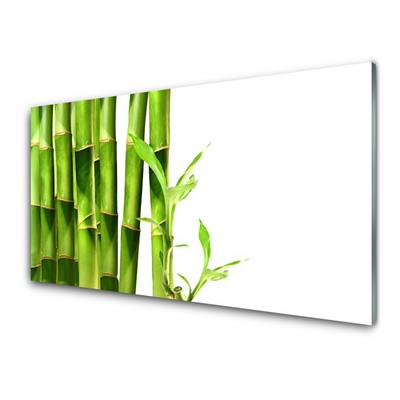 Spatscherm keuken Bamboe plant