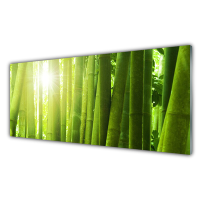 Spatscherm keuken Bamboe plant