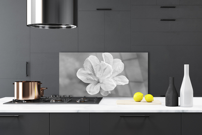 Spatscherm keuken Bloemen plant