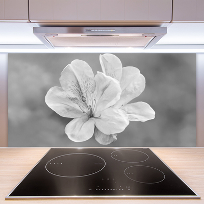 Spatscherm keuken Bloemen plant