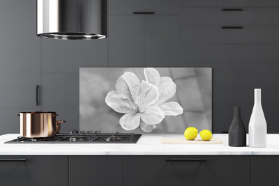 Spatscherm keuken Bloemen plant