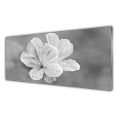 Spatscherm keuken Bloemen plant