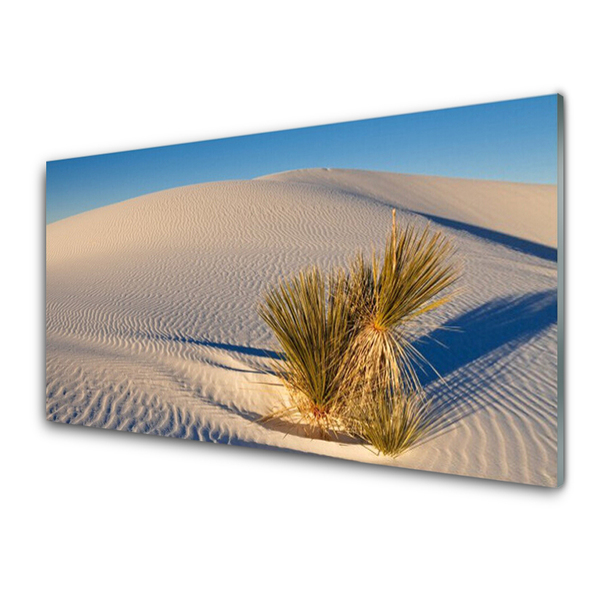 Keuken achterwand Woestijn landschap zand