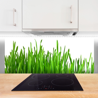 Keuken achterwand Gras plantaard