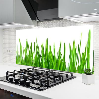 Keuken achterwand Gras plantaard