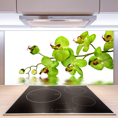 Keuken achterwand Bloemen plantaardige aard