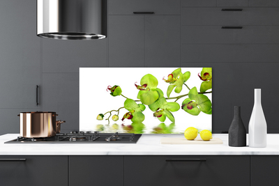 Keuken achterwand Bloemen plantaardige aard